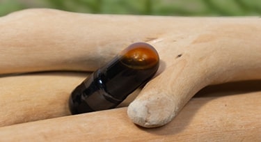 Fermented Ginseng 200mg