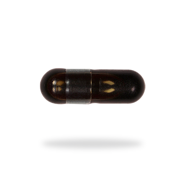 Fermented Ginseng 200mg