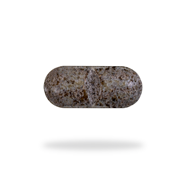 Women's Multi w/Iron